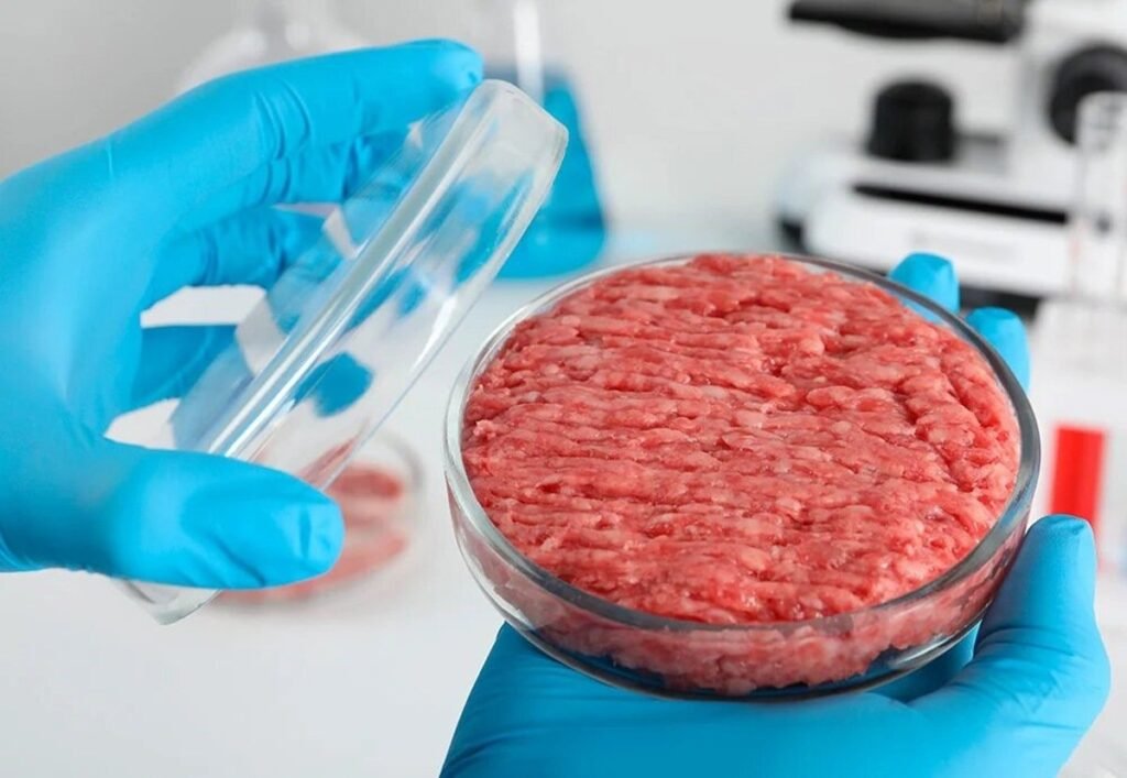 Alimento do Futuro: Carne processada em Laboratório